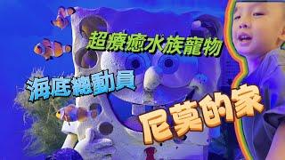 水族寵物小丑魚尼莫nemo開箱 魚中魚好好逛呀～