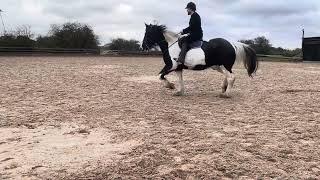 Alex Croft - Horseriding compilation