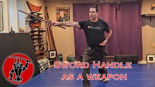 Sword Combat Situation, Tsuka Bounce Block and Attack