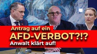 AfD-VERBOT durch Bundestag? Geht das? Macht ein Verbots-Antrag Sinn? Anwalt klärt auf