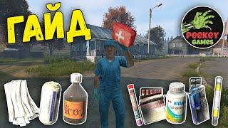 Полный ГАЙД по "Медицине" для начинающих в DayZ