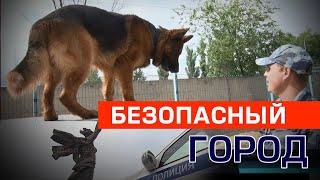 Как работают кинологи Управления МВД по городу Волгограду