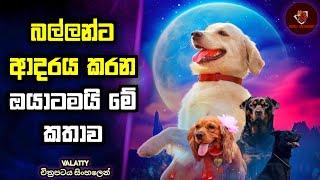 අමුතුම බලු කතාවක්  Valatty Movie explain in Sinhala | MALI Reviews