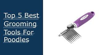 Top #5 Best Grooming Tools For Poodles - Available On Market