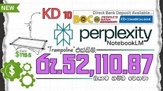 How to Make $179.5 Per 1 Trampoline Using Perplexity with Notebooklm + SEO | Make Money Online 2025