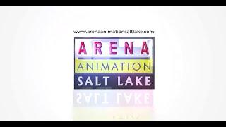 About Arena Animation Saltlake