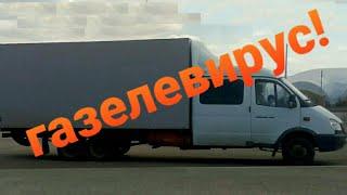 Осторожно - Газелевирус! 5 признаков того, что Вы заболели Газелевирусом.