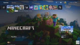 Minecraft Playstation 5 Edition Preview World 4-Player Co-Op Gameplay