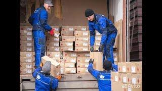 Грузчики в СПб - Заказать рабочих можно у нас предоставим  рабочих  по всей России