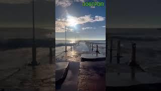 Мир в Ваши дома! Украина. Одесса. Море. Пляж. Набережная. #зоотроп