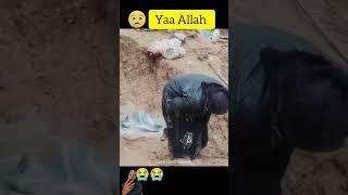 Allah Hu Akbarye Dekho ik Gareeb maaApne Bacchon ko kese Pal rahi hai #new #vidio #filistin#shorts