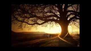Body Relaxation Recording by Monica Kelly