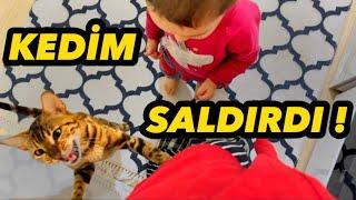 BEBEĞİME KIZDIM KEDİM SALDIRDI ! MUSTAFA VE MİNTİK GÜNLÜK VLOG