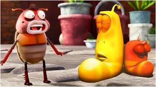 Larva Season 1 Episode 320 : Startle| Best Cartoons |  Hilarious Cartoon Compilation