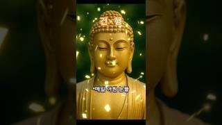 건강과 행복 #부처님말씀 #좋은글 #붓다 #불교 #말씀 #건행