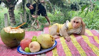 Super funny! Monkey Luk created his own picnic