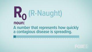 What does R0 (R-naught) mean?