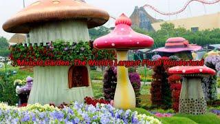 Miracle Garden: The World's Largest Floral Wonderland