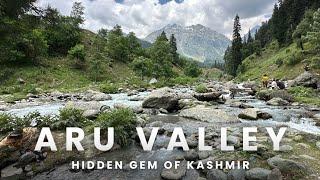 Incredible trip to Aru Valley Pahalgam | Hidden gem of Kashmir | Kashmir during summer