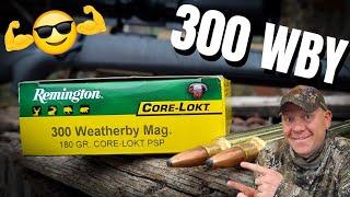 I'm Not Sure This Is Enough Gun...[300 Weatherby Magnum]