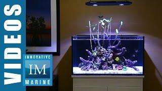 Lagoon Style Aquascaping - Lagoon 50 Gallon by Innovative Marine