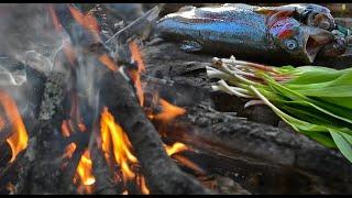 Catch and Cook Rainbow Trout - with Wild Leeks