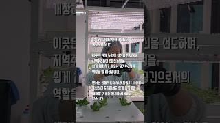 강북구 스마트팜 신선한 야채 자판기로 구입 미디어기자 정민두