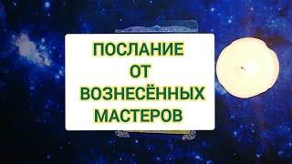 ПОСЛАНИЕ ДЛЯ ВАС #tarot #online #oracle #oraclecards #miollife #taro #reading #card #short #истина