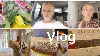 Ampula per flokë/ Cake (keik)me djath kaçkavall/ Grill/Market haul/ @vlogmeelin