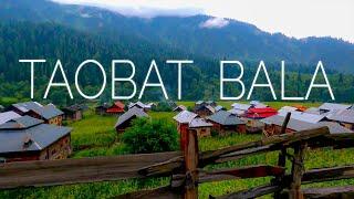 True Heaven in Kashmir | Taobat bala