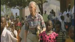 Jane Goodall: Showing Us the Way to a Better World