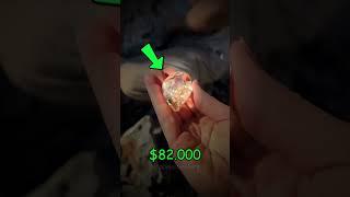 Best Mineral Finds️