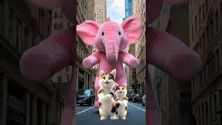 Cat Dance ️| Cute kitten #ai #cat #lovecats #cats#catvideos #funny #kittens #catlover 28022025A