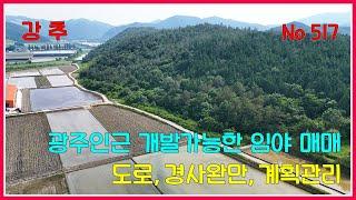 화순 임야 ] 도로접하고 경사 완만한 계획관리임야매매  /전남 산림경영관리사/경사완만/ 화순임야 / 임야매매/화순토지/화순부동산/강산공인중개사 /화순급매 / 전남임야