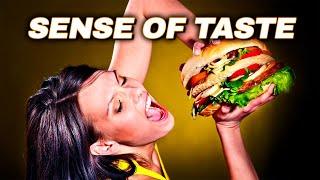 How It Works: The Sense Of Taste