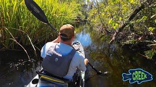 Wandering through Mangrove Tunnels