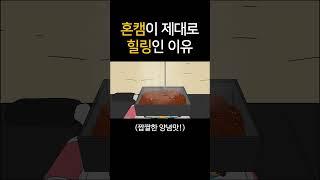 혼캠이 제대로 힐링인 이유