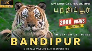 Bandipur Safari Experience in 4K | Wildlife Photography Tips & Wildlife Encounters | CJ Wild Vlogs