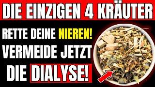 4 KRÄUTER, DIE MÄCHTIG SIND FÜR DEINE NIEREN! VERMEIDE DIALYSE MIT DIESER NATÜRLICHEN FORMEL!