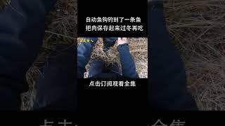 自动钓鱼装置钓到了一条鱼，把肉保存起来过冬吃！