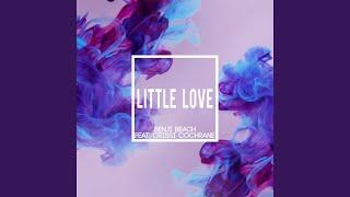 Little Love (feat. Crissi Cochrane)