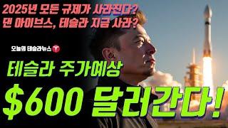 테슬라 주가 예상 $600 달러 간다! 댄 아이브스 , 테슬라 지금 사라? 2025년 모든 규제가 사라진다? 이유는?