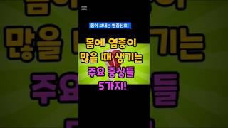몸에 염증 많을때 생기는 증상 5가지 #건강정보 #염증 #꿀팁