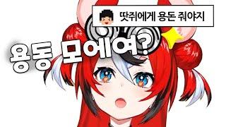 한국인한테 용돈받는 땃쥐