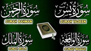 SURAH YASEEN BEAUTIFUL RECITATION | Surah Rahman | Surah Waqiah | Surah Mulk | Ep: 231