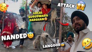 Local Gurudware Darshan Karne GayeLangoor Ki Gang ne Attack Krdiapar Bhot maza aaya