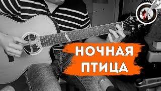 Ночная птица на одной гитаре | К.Никольский / Alex Mercy