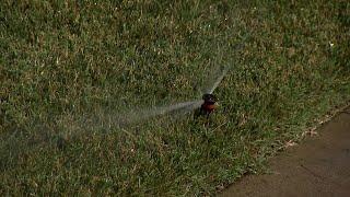 San Diego City introduces more water restrictions as drought grips California