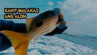 ML EP51 | LAST CATCH OF MY FAVORITE REEL KASTKING MEGATRON | THANK YOU FOR YOUR SERVICE