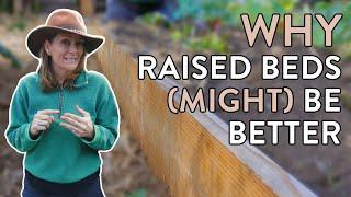 5 Reasons Why Raised Beds Are Better Than In-Ground Gardening